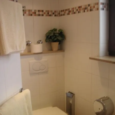 Landgasthof Zum Hirschen בית הארחה 2*